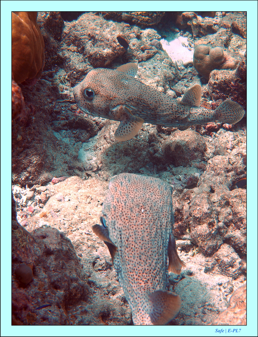 2023 - 07 - Sandies Bathala - 198